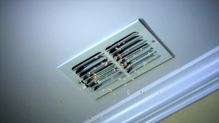 Best Air Duct Cleaning Company Near Me  in Southside Place, TX