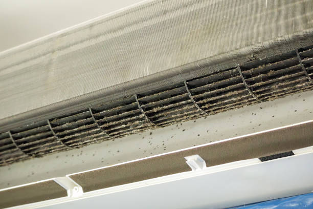 Best Air Duct Cleaning Near Me  in Southside Place, TX